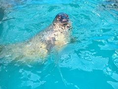 -大连圣亚海洋世界