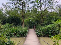 -桤木河湿地公园