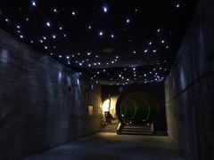 -816工程景区