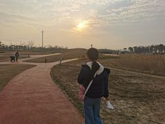 -春花秋色城市公园