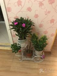 -本真坊美容美体沙龙