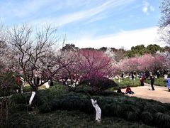 -杭州植物园