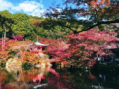 -醍醐寺
