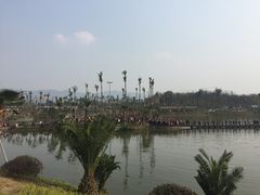 -枫香湖儿童公园