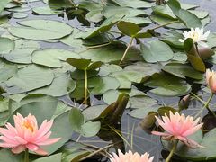 -同济大学(嘉定校区)