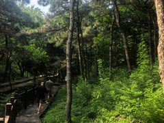 -北京十三陵国家森林公园蟒山景区