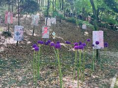 -上海佘山国家森林公园天马山园