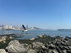 -黑石礁公园