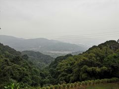 -广州市帽峰山景区