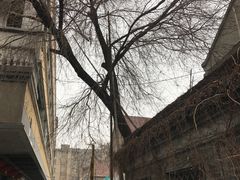 -连云港民主路老街