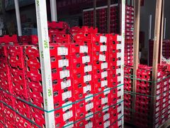 -西郊国际农产品交易中心