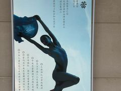 -中央芭蕾舞团·中芭艺蕾(酒仙桥明星校区)