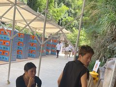 -将军关探险漂流