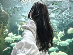 -哈尔滨波塞冬海底世界