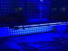 -辣螃铠盆盆蟹大排档(海昌店)
