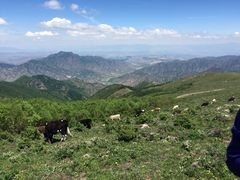 -灵山