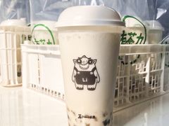 双蛋小皇椰（白屁屁）-茶力的小怪兽(梅林卓悦汇店)