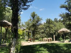 -北京野生动物园