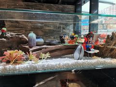 -红辣椒·川菜·火锅(科华路店)