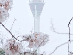 -成都市活水公园