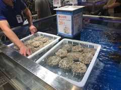 -盒马X会员店(王府井奥莱UP TOWN店)