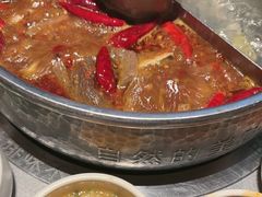 -巴奴毛肚火锅(二七万达店)