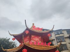 -越秀西湖花市(广州城市广场花卉店)