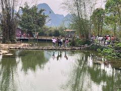 -靖西鹅泉风景区