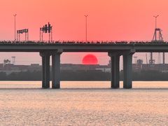 -宝安西湾红树林湿地公园