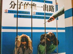 -Xcape异时刻密室逃脱(长风大悦城店)