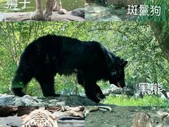 -北京野生动物园