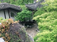 -芥子园