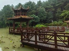 -铁山坪森林公园