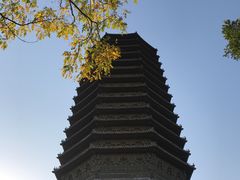 -玲珑塔公园
