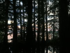 -东湖落雁景区