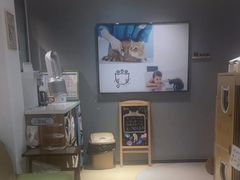-御宝贝·A梦猫科宠物医院(国际猫友好医院)