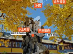 -圆通寺