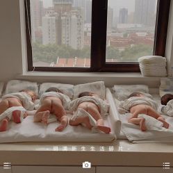 -海豚湾高端月子会所(黄浦店)