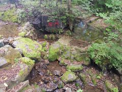 -天女山森林公园