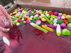 -天目湖涵田半山温泉