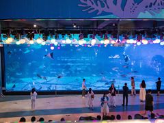 -烟台海昌鲸鲨海洋公园