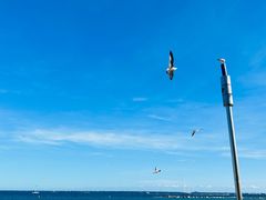 -小巴塞罗那海滩