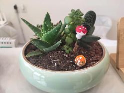 -慈蕊美容养生·专业经络调理