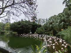 -九龙公园