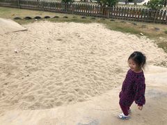 -前小桔亲子创意农场·草莓采摘·露营烧烤