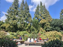 -龙华素斋(龙华路店)