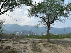 -白水寺森林公园