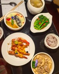 -臻康乃馨月子中心(凯宾斯基店)
