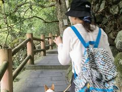 -藏龙百瀑风景区