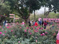 -人民公园(罗湖区)